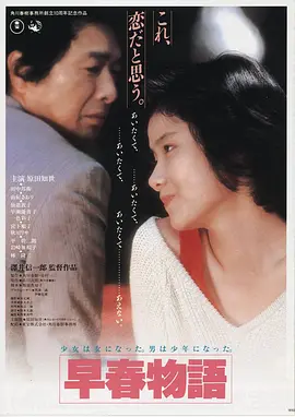 星际可可 美国 2026